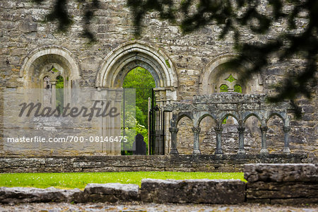 Arched doorway at the ruins of Cong Abbey, Cong, County Mayo, Ireland