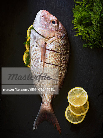 A red snapper on a black slate with lemon slices