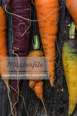 Various fresh carrots on a wooden surface Various fresh carrots on a wooden surface