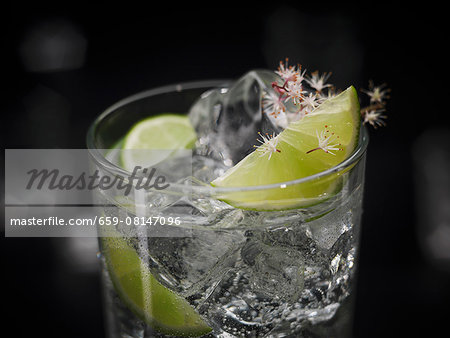 A Gin & Tonic with ice cubes garnished with lime and flowers