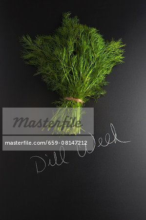 Fresh dill on a slate surface with a label