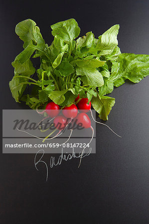 Radishes with a label