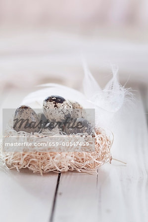 Quail's eggs in a next of hay with a feather