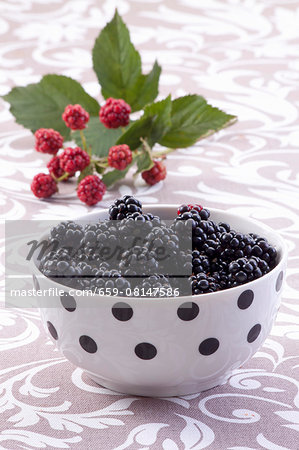 Blackberries in a polka-dot bowl