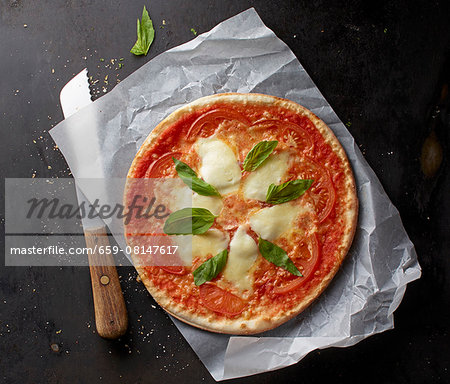 A tomato, mozzarella and basil pizza on a piece of paper with a knife