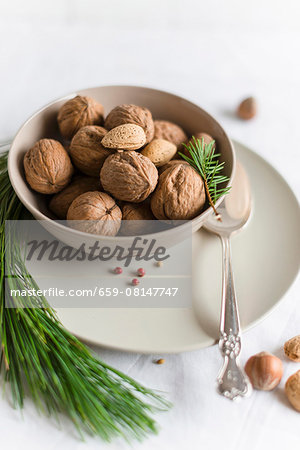 A bowl of walnuts and almonds