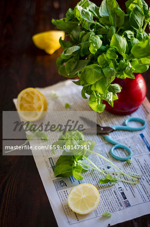 A large bunch of basil in a vase on a piece of newspaper