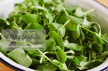 Fresh peas shoots in a bowl