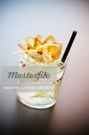 Gin& Tonic with ginger and lemon zest Gin& Tonic with ginger and lemon zest