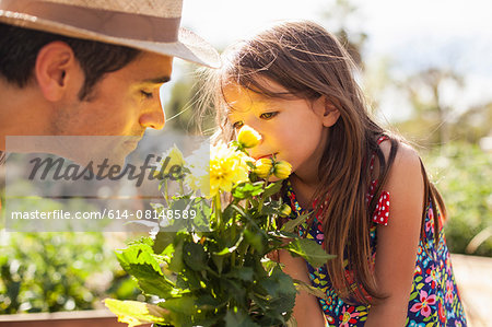 Mid adult man and daughter smelling yellow flowers in community garden