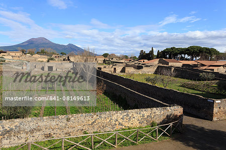 Elevated view to Mount Vesuvius, over Garden of the Fugitives, Roman ruins of Pompeii, UNESCO World Heritage Site, Campania, Italy, Europe