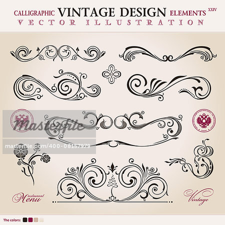 Vector set classic. Calligraphic design elements ornament decoration retro