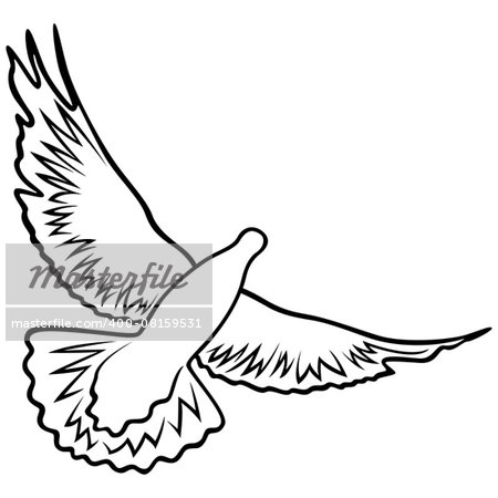 Dove in flight with widely outstretched wings, outline vector illustration