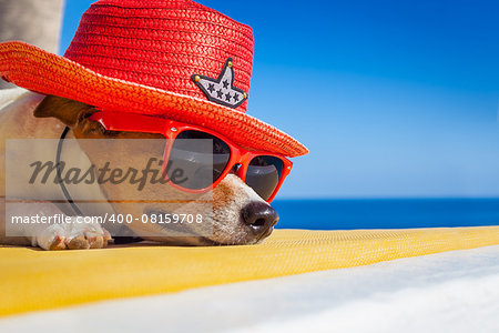 jack russell dog resting , sleeping a siesta under a palm tree, on summer vacation holidays at the beach , wearing sunglasses and a big hat sombrero