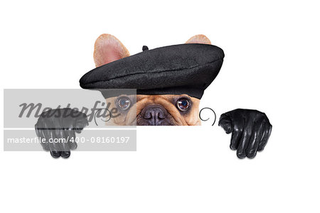 french bulldog with  french  beret hat, isolated on white background, behind white and blank banner  or placard