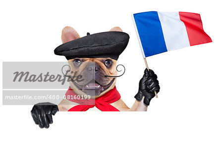 french bulldog wearing   beret hat, isolated on white background, waving a flag of france, behind white and blank banner or placard