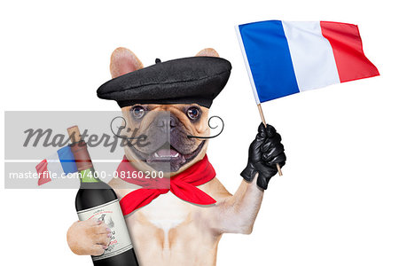 french bulldog with red wine and  beret hat, isolated on white background, waving a flag of france