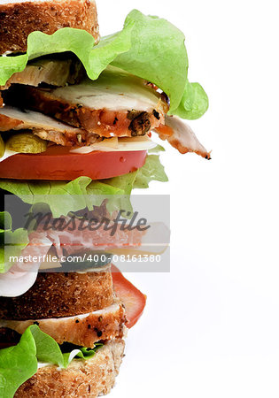 Frame of Tasty Turkey Meat Sandwich with Cheese, Tomato, Bacon, Marinated  Gherkins and Lettuce on Whole Wheat Bread isolated on white background