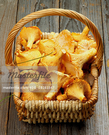 Heap of Perfect Raw Chanterelles in Wicker Basket closeup on Rustic Wooden background