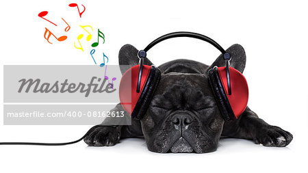 french bulldog dog listening to music with earphones or headphones,while relaxing or sleeping on the floor, isolated on white background