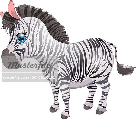 beautiful zebra is painted on a white background