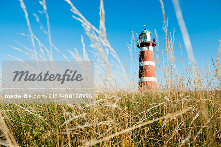 Lighthouse, grass on foreground