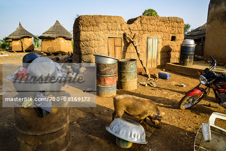 House and provision huts with barrels, metal basins and a pig in yard, near Gaoua, Poni Provnice, Burkina Faso