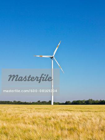 Wind turbine with wheat field in foreground, Germany