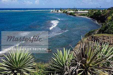 Atlantic coast, St. Kitts, St. Kitts and Nevis, Leeward Islands, West Indies, Caribbean, Central America