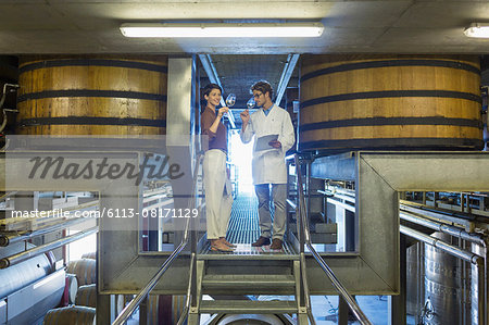 Vintners examining wine on platform in winery cellar