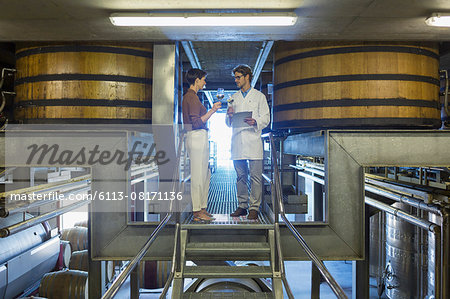 Vintners examining wine on platform in winery cellar