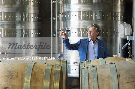 Vintner examining red wine in winery cellar Vintner examining red wine in winery cellar