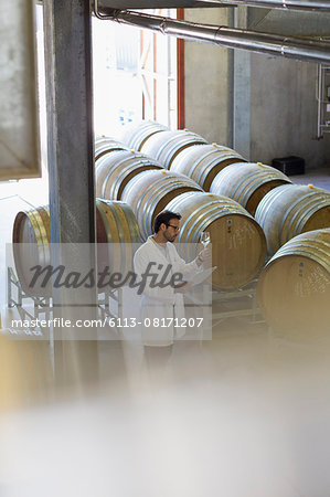 Vintner in lab coat examining white wine in winery cellar