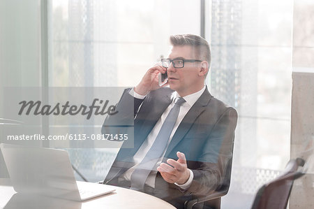 Businessman talking on cell phone gesturing in office