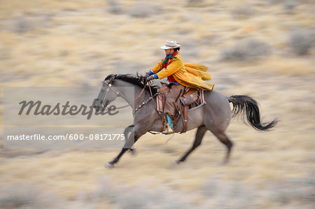 Blurred motion of cowgirl on horse galloping in wilderness, Rocky Mountains, Wyoming, USA
