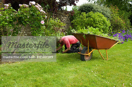 Gardener working in garden