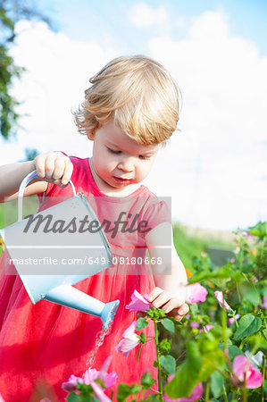 Female toddler watering pink flowers in flower field