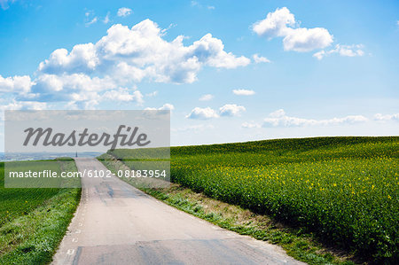 View of country road