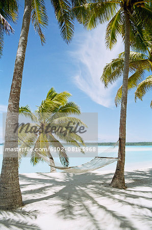 Palm trees with hammock on sandy beach