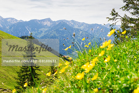 Landscape on the mountain Breitenstein in the Alps in Bavaria, Germany