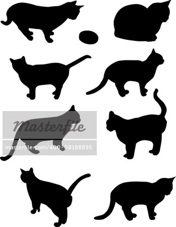cats collection - vector