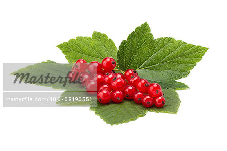 ripe red currant with green leaves isolated on white background