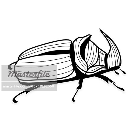 Rhinoceros beetle vector tattoo or for T-shirts