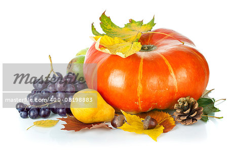 Autumnal still life with pumpkin and grapes. Isolated on white background