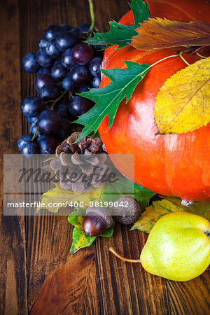 Autumnal still life with pumpkin and grapes on wooden board