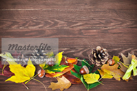 Autumnal leaves with pinecone and acorn on wooden board