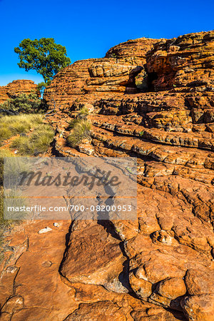 Kings Canyon, Watarrka National Park, Northern Territory, Australia