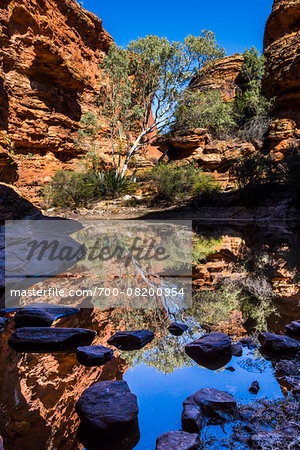 Garden of Eden, Kings Canyon, Watarrka National Park, Northern Territory, Australia Garden of Eden, Kings Canyon, Watarrka National Park, Northern Territory, Australia