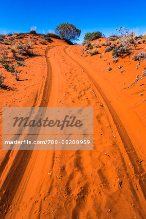 Dirt Road, Uluru-Kata Tjuta National Park, Northern Territory, Australia Dirt Road, Uluru-Kata Tjuta National Park, Northern Territory, Australia