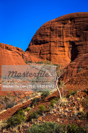 Valley of the Winds, Olgas (Kata Tjuta), Uluru-Kata Tjuta National Park, Northern Territory, Australia